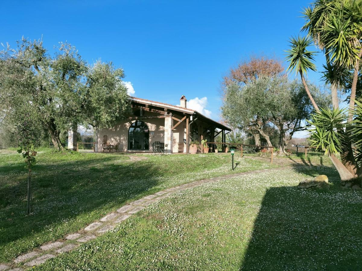 Agriturismo Bio Pian Dei Casali Сатурния Екстериор снимка
