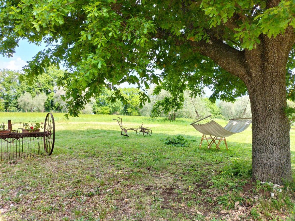 Agriturismo Bio Pian Dei Casali Сатурния Екстериор снимка