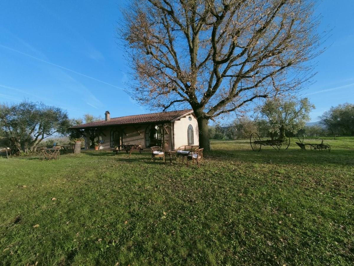 Agriturismo Bio Pian Dei Casali Сатурния Екстериор снимка