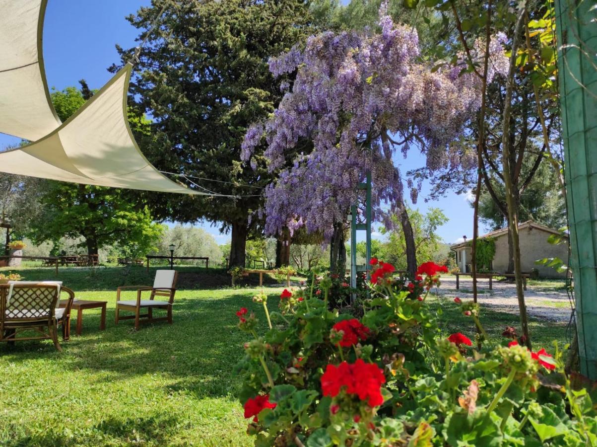 Agriturismo Bio Pian Dei Casali Сатурния Екстериор снимка