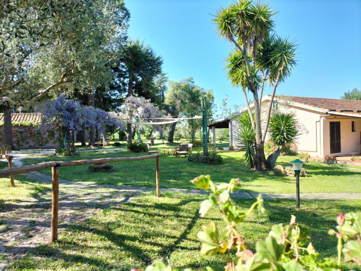 Agriturismo Bio Pian Dei Casali Сатурния Екстериор снимка