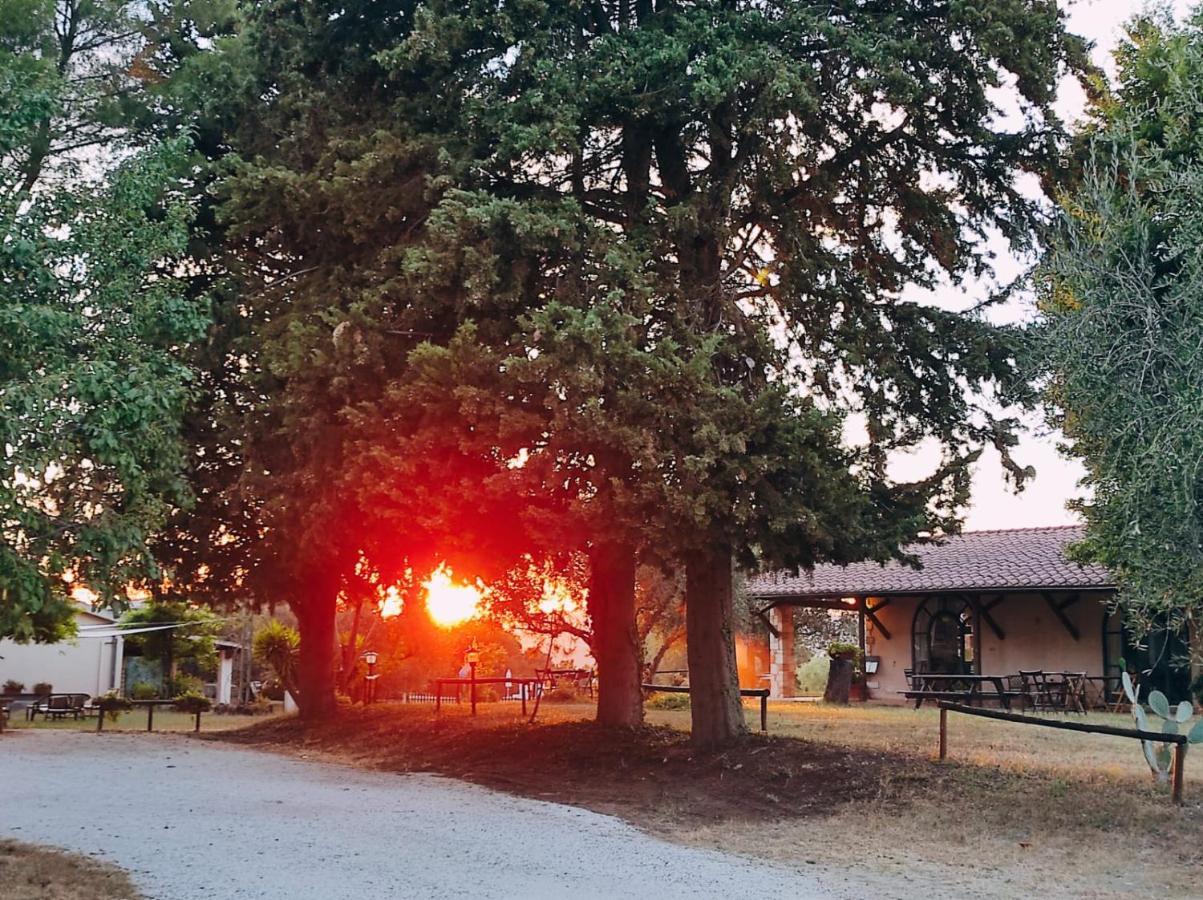 Agriturismo Bio Pian Dei Casali Сатурния Екстериор снимка