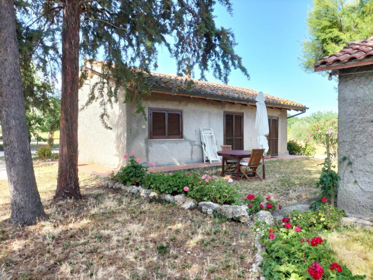 Agriturismo Bio Pian Dei Casali Сатурния Екстериор снимка