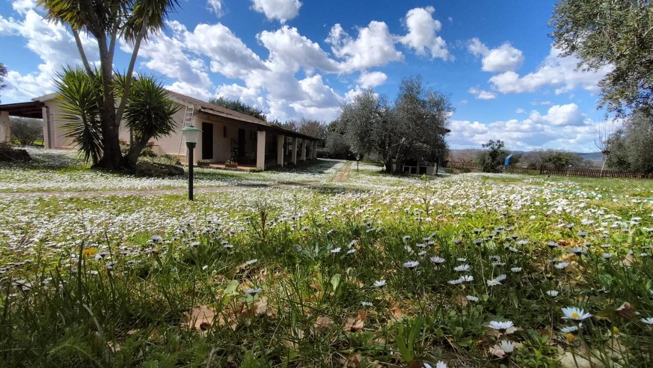 Agriturismo Bio Pian Dei Casali Сатурния Екстериор снимка