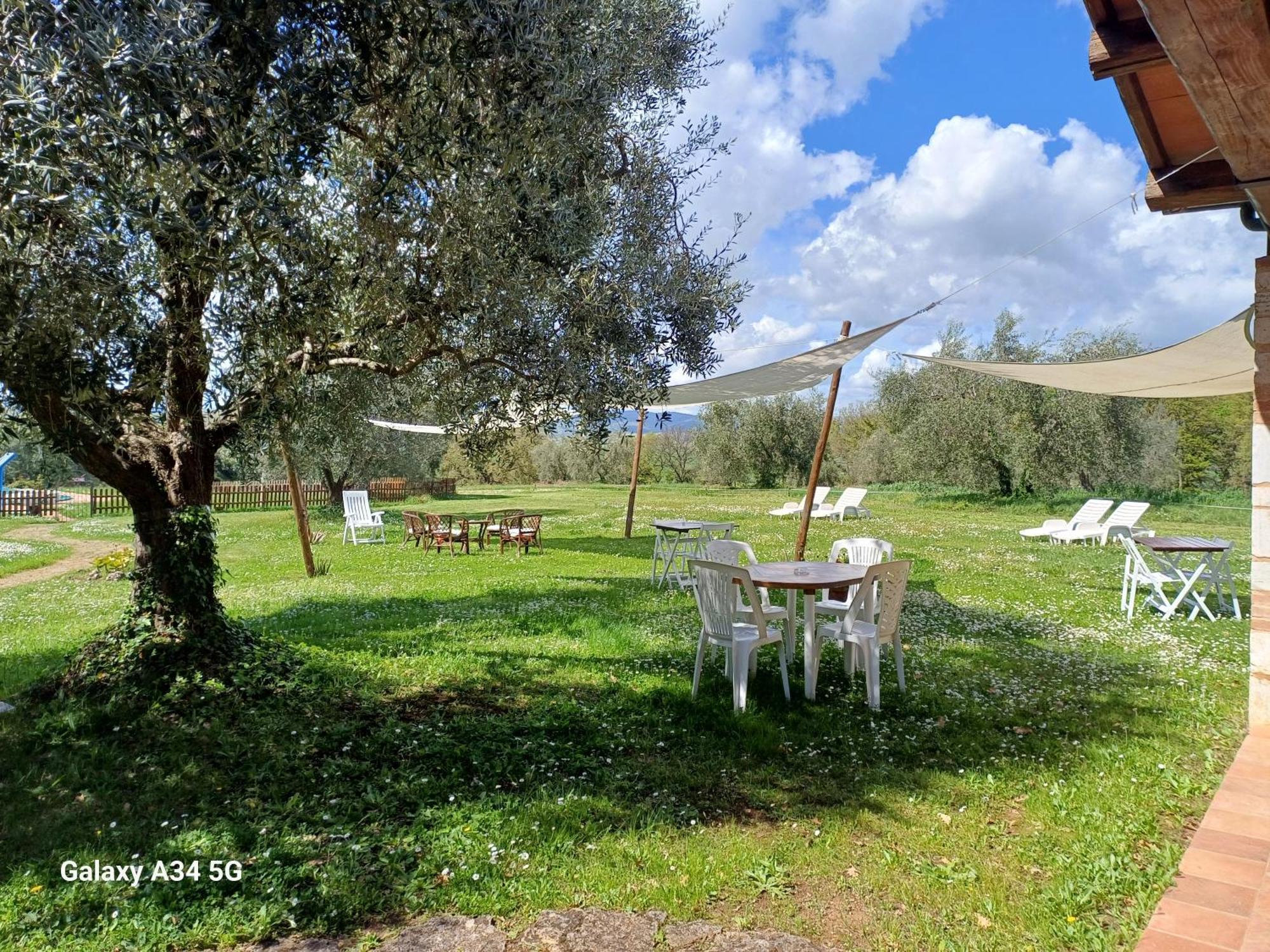 Agriturismo Bio Pian Dei Casali Сатурния Екстериор снимка