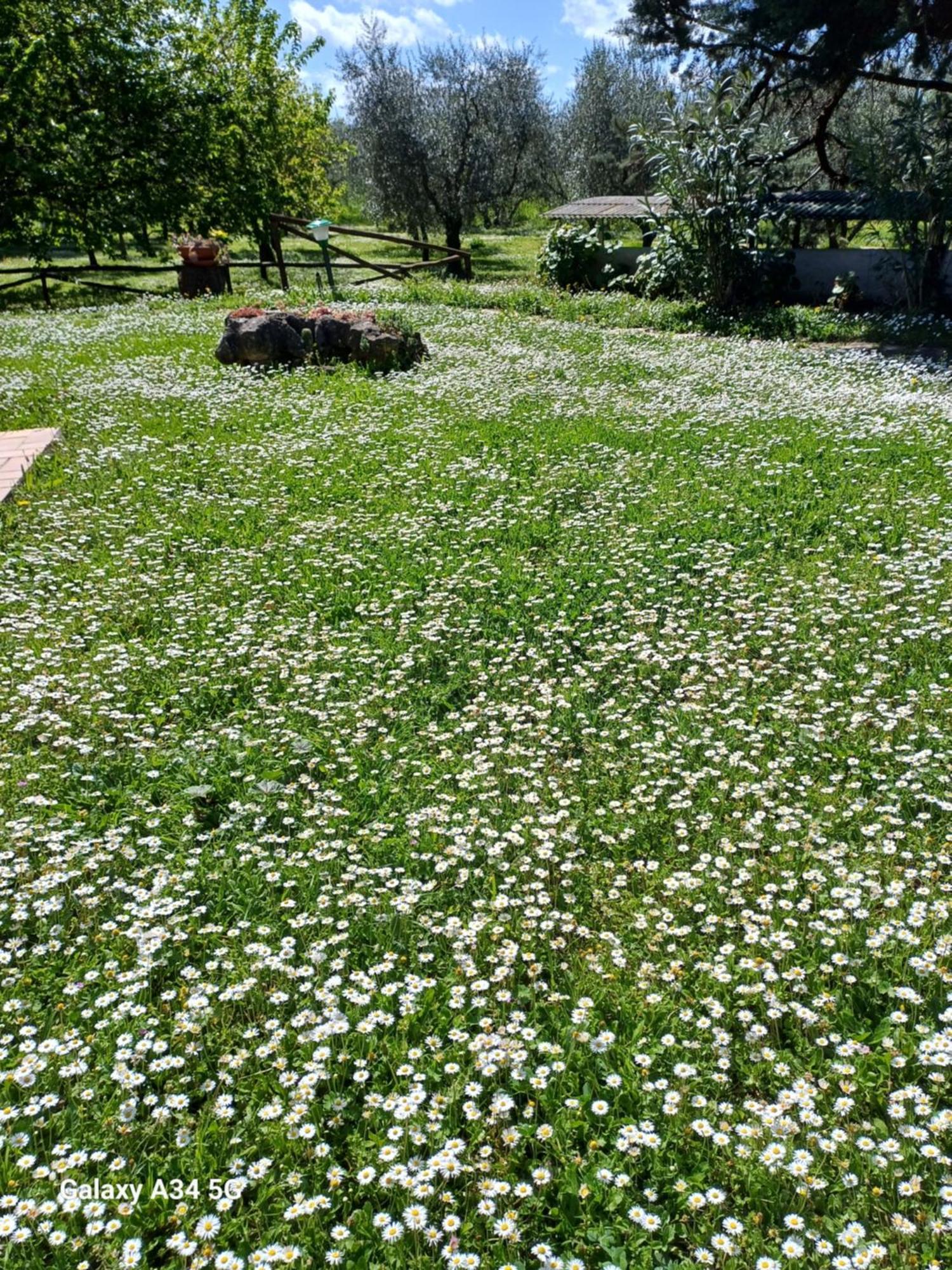Agriturismo Bio Pian Dei Casali Сатурния Екстериор снимка