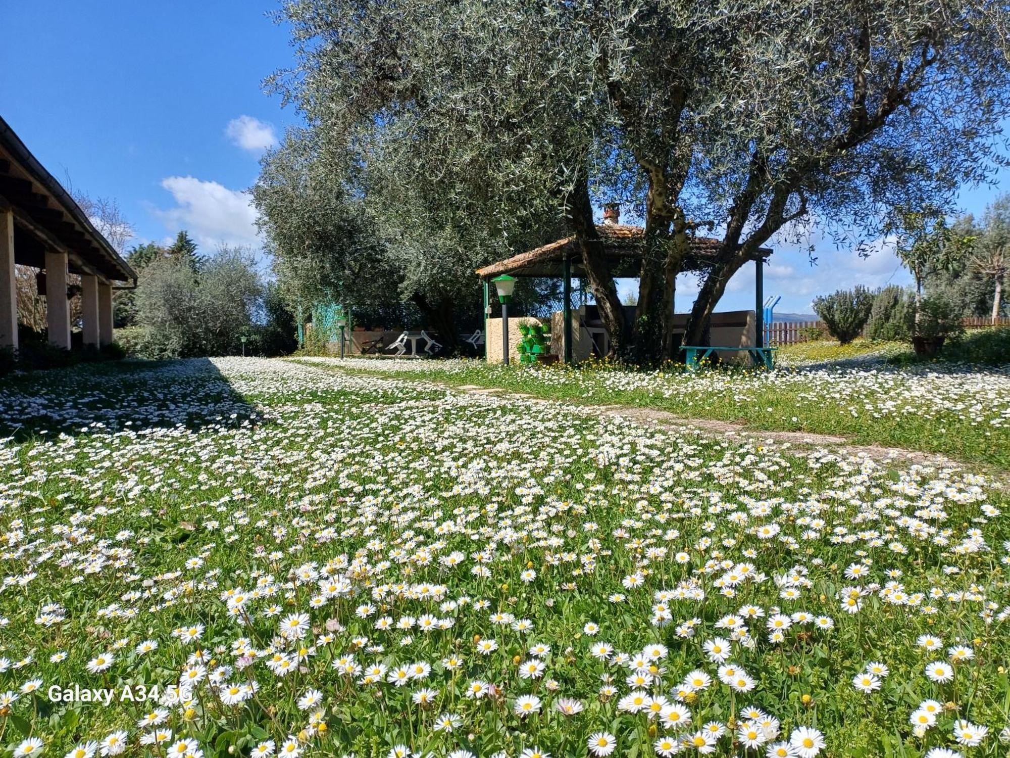 Agriturismo Bio Pian Dei Casali Сатурния Екстериор снимка