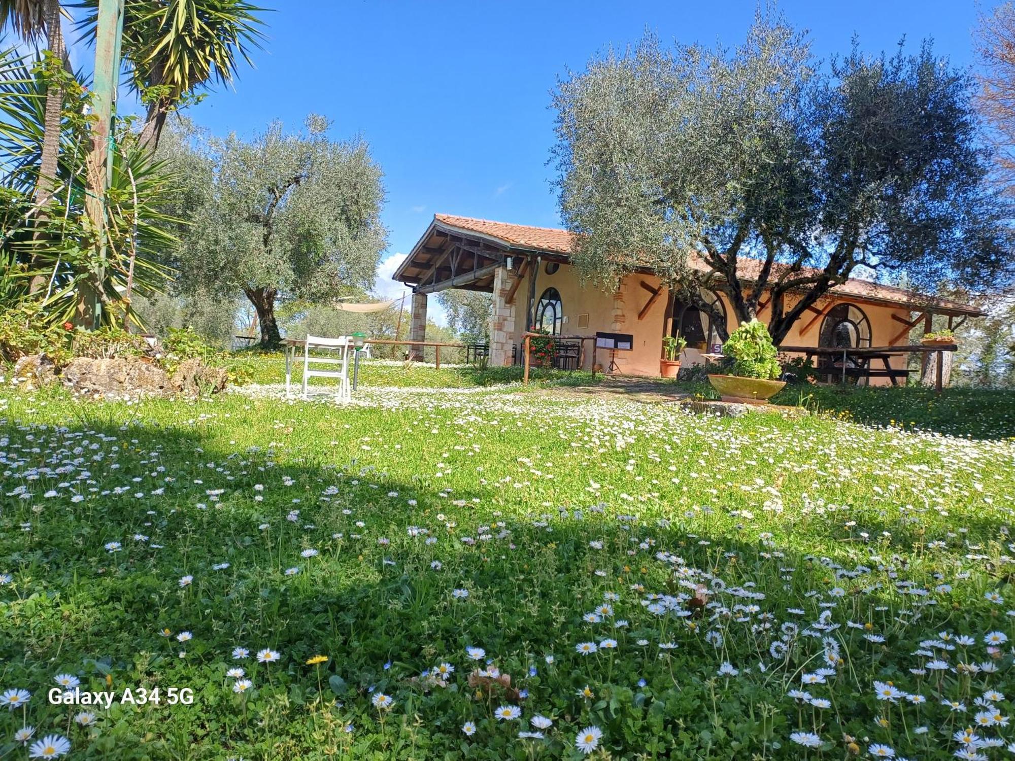 Agriturismo Bio Pian Dei Casali Сатурния Екстериор снимка