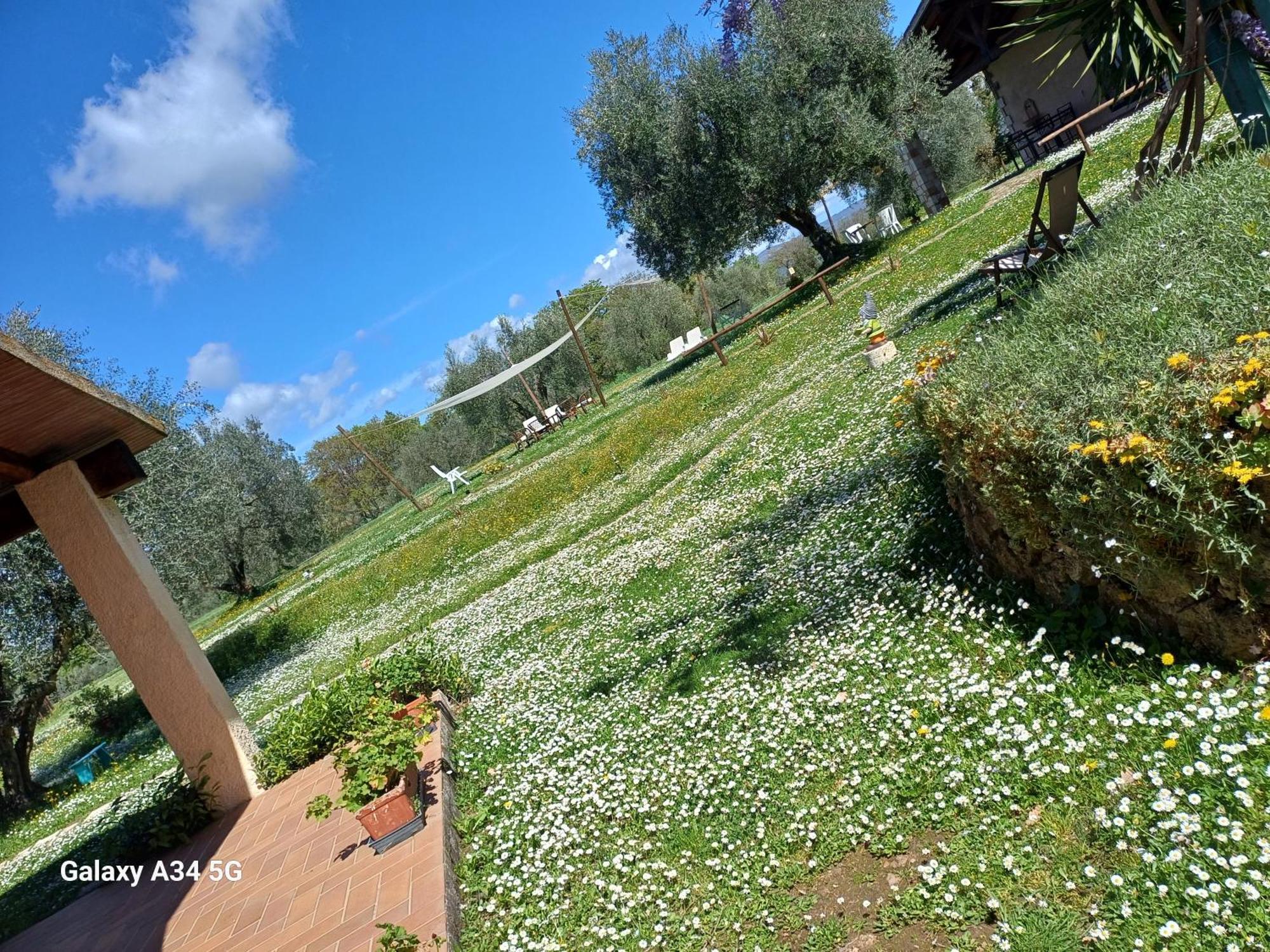 Agriturismo Bio Pian Dei Casali Сатурния Екстериор снимка